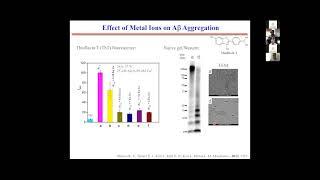 Dr. Liviu Mirica - ZOOMinar on "Proteinopathy" (Oct. 18 2021)