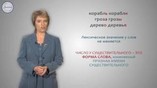 Русский язык 3 класс. Число имён существительных