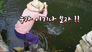 3마리~ 2마리씩~ 막 잡혀 올라오는 중에 진짜를 잡아보자~!!