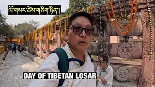 DAY OF TIBETAN LOSAR || MAHABODHI TEMPLE || BODHGAYA || TIBETAN VLOGGER ||