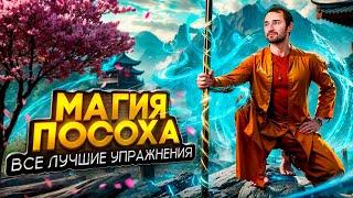 ЛУЧШИЕ УПРАЖНЕНИЯ С ПОСОХОМ В КУНГ-ФУ