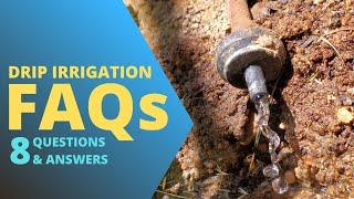 Beginner's Guide to Drip Irrigation - 8 Common Questions Answered