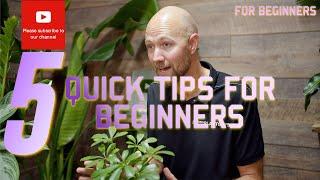 5 Quick plant tips for beginners 