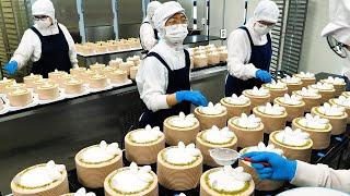 30분 순삭! 한국 케익공장의 생크림케익 대량생산 몰아보기 oddly satisfying cake making in cake factory - korean street food
