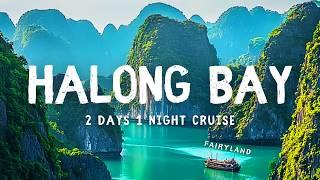 Ha Long Bay Cruise 2 Days 1 Night 2025 - FOR FIRST TIMER IN VIETNAM
