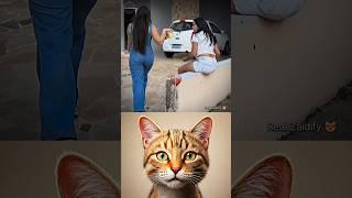 give this video title   (warning answer) #cat #meme #dance #trending