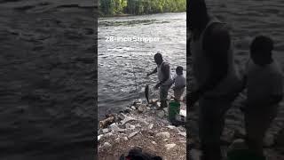 Big Catch- 28-inch Stripper! #columbiasc #fishing #fish