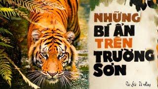 [Rất Hay] Truyện Về Những Bí Ẩn Rừng Già: NHỮNG BÍ ẨN TRÊN TRƯỜNG SƠN | Vũ Hùng | Kênh Cô Vân