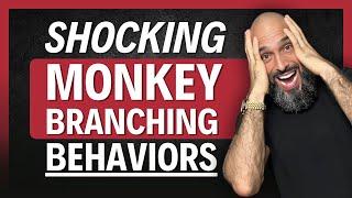 6 SHOCKING THINGS MONKEY BRANCHERS DO AFTER THE BREAKUP