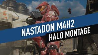 Nastadon M4H2