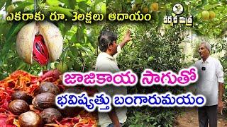 జాజికాయ సాగుతో భవిష్యత్తు బంగారం ||  Nutmeg Cultivation Success Story || Karshaka Mitra