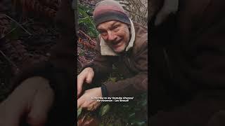 Survivorman | Dealing With Smells While Foraging | Les Stroud