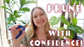 How to prune a monstera | Why pruning is important