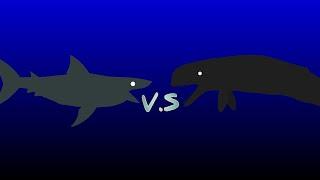 megalodon vs livyatan