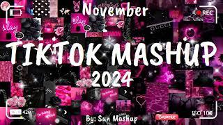 Tiktok Mashup November 2024 (Not Clean)