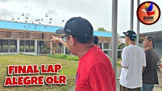 DAY 2 ARRIVAL OF CALBAYOG SAMAR BIRDS SUPER SMASH RACE FINAL LAP 450 KMS | ALEGRE OLR