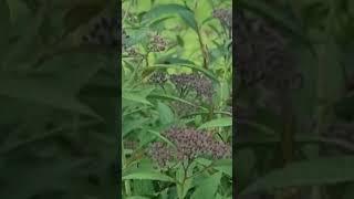 자연의 아름다움이 있는 이곳!* (Where nature is beautiful.*)