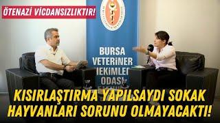 Ötenazi Vicdansızlıktır! / Kısırlaştırma Yapılsaydı Sokak Hayvanları Sorunu Olmayacaktı!