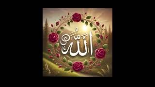 ALLAH ️️ ALLAH ️ ALLAH ️️️ MUHAMMAD ️ MUHAMMAD MUHAMMAD 