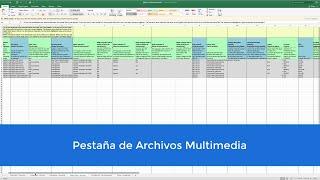 Metadata Sheet - Pestaña de Archivos Multimedia