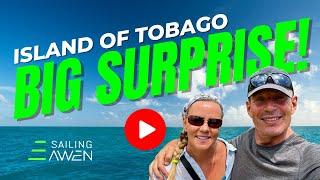 Big Surprise on the Island of Tobago (EP 79) #sailing #adventure