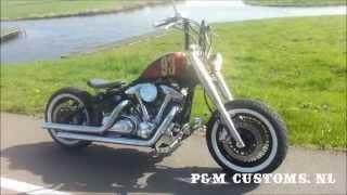 Wildstar XV1600 Bobber