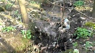 Екологія в Ладижині 3