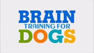 Best Brain Training For Dogs Video By Professional Trainer Adrienne Farricelli.