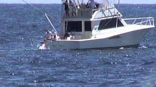 Day One "White Marlin Open"
