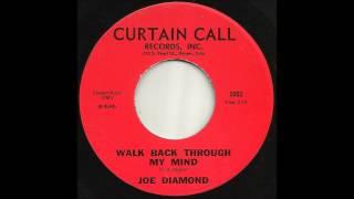 Joe Diamond  - Walk Back Through My Mind