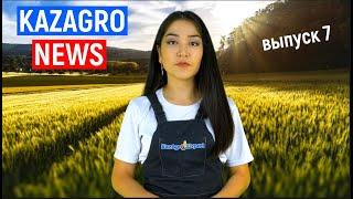 KAZAGRO NEWS - новости сельского хозяйства Казахстана (выпуск 7 от 10.08.2021 г.)