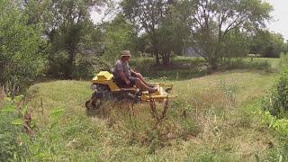 Mowing Tall Overgrown Grass