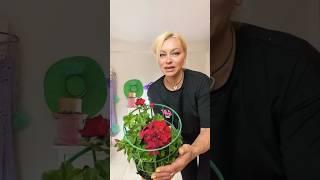 Женщина Праздник