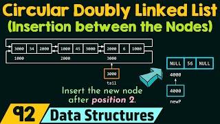 Circular Doubly Linked List (Insertion between the Nodes)