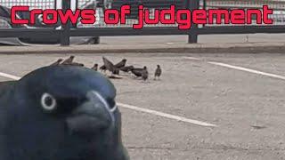 Crows of Judgment