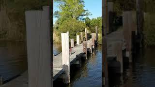Treasure Cay Property