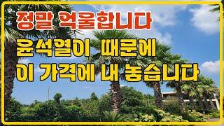 2억인하, 우측6억5천,좌측7억5천