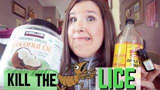 BACK TO SCHOOL TIPS | HOW TO GET RID OF HEAD LICE | NATURAL REMEDIES TO CURE LICE IN 24 HOURS