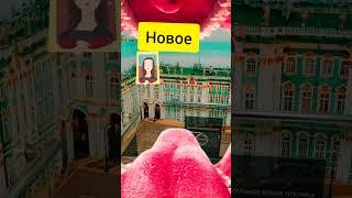 Самый культурный лифт с Эрмитажем в Спб #shorts