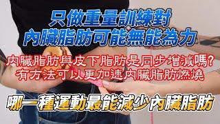 單純的重量訓練對內臟脂肪無能為力