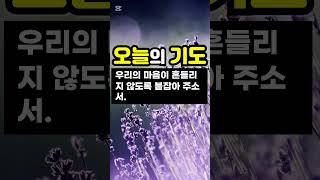 오늘의 기도 / 주님의 인도하심 / 은혜의 기도 / 간구의기도
