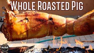 How to roast whole pig seasoned with Salt & Chilli oil | Fire cooking | Braai | Whole hog rotisserie