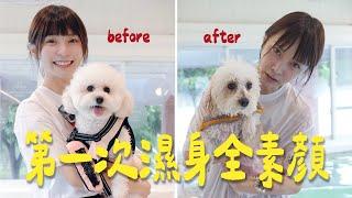 毛孩在家當公主第一次拍片就成落水狗！？狗生好難⋯崩潰