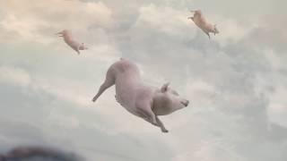 When Pigs Fly