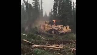 Crazy Bulldozer in the forest