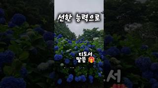 선한 능력으로 찬양 디도서 사도 바울 성경 낭독 성경 읽기 성경 통독 독일 나치 정권 히틀러 암살 조직 본회퍼 목사님 오디오 바이블 신약 낭독 묵상 제주도 수국 제주 여행 한국