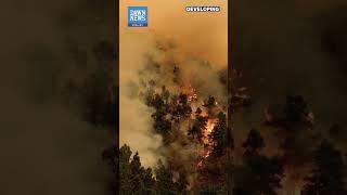 Wildfire On Spain's Tenerife Spreads Across Island's North | Developing | Dawn News English