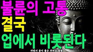 불륜은 업이다? 부처님께서 밝히신 인연과 번뇌의 깊은 진실ㅣ부처님 말씀ㅣ불교 명언ㅣ석가모니 가르침ㅣ긍정의말