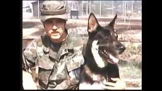 War Dogs Of Vietnam