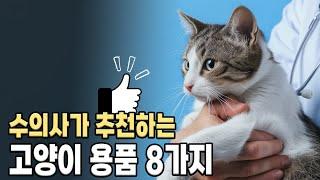 윤샘 추천 고양이 용품 8가지